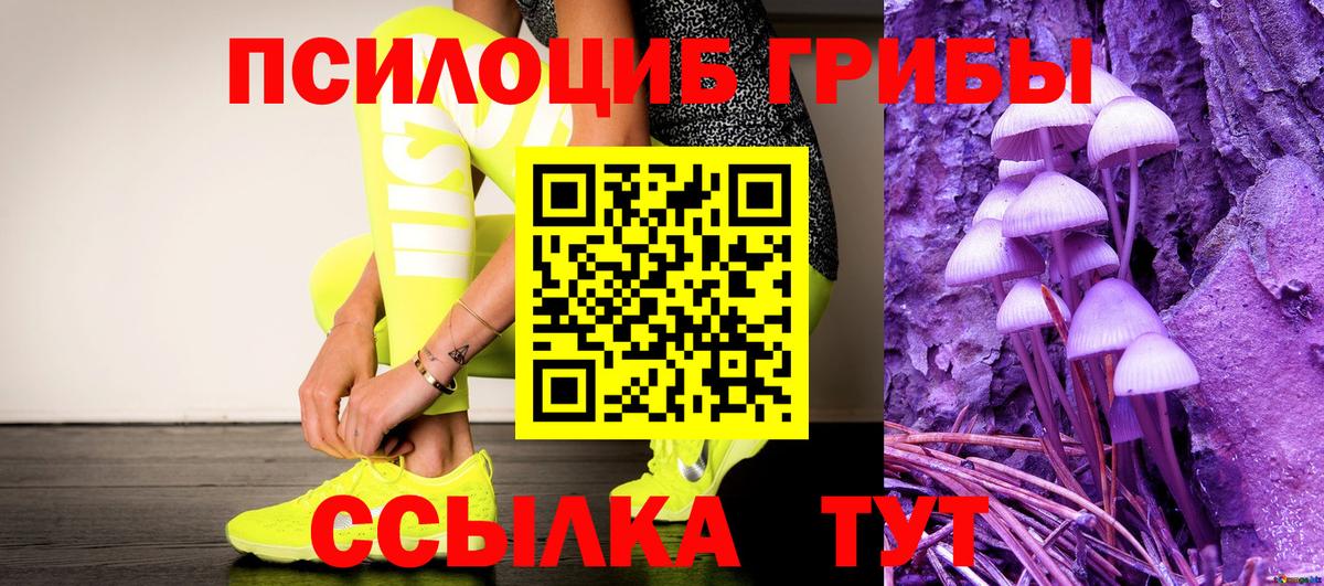 Галлюциногенные грибы прущие грибы Ленинск-Кузнецкий