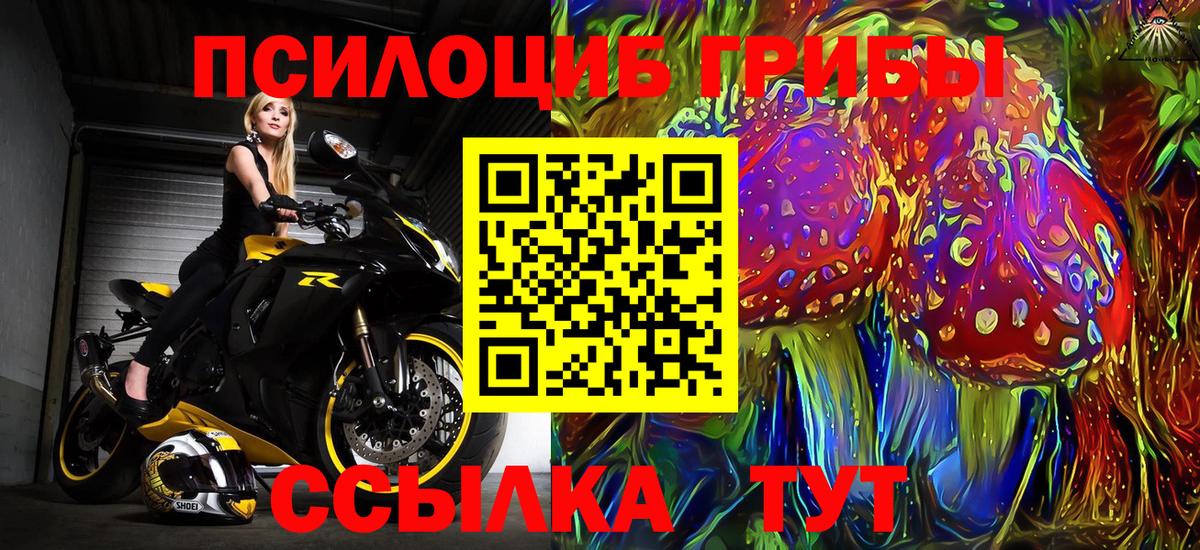 Ленинск-Кузнецкий  Галлюциногенные грибы ЛСД  Вход с VPN 